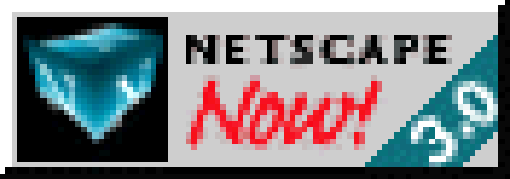 Drehendes Netscape Logo